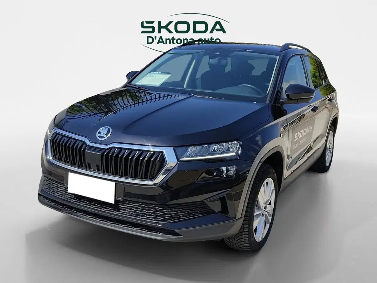 Skoda Karoq usata a Taranto (2)
