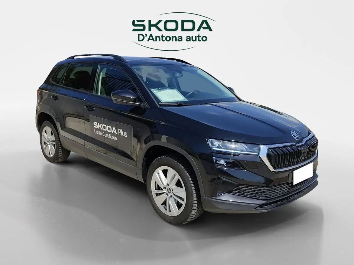Skoda Karoq usata a Taranto (3)