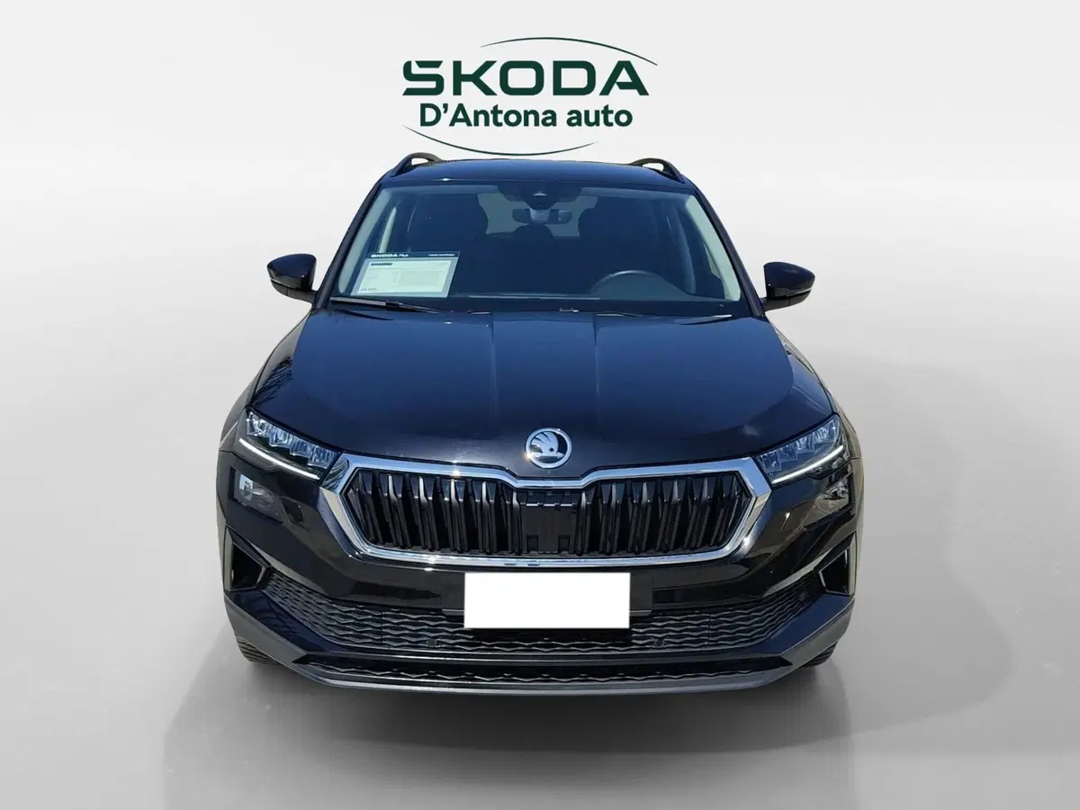 Skoda Karoq usata a Taranto (4)