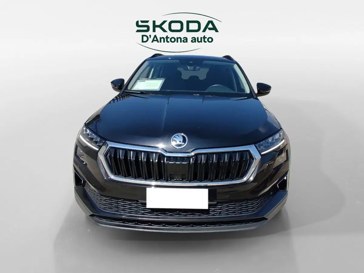 Skoda Karoq usata a Taranto (8)