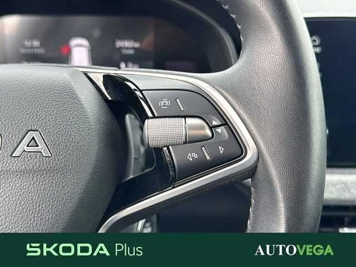 Skoda Kamiq usata a Vicenza (20)