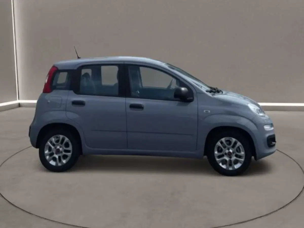 Fiat Panda usata a Caltanissetta (6)