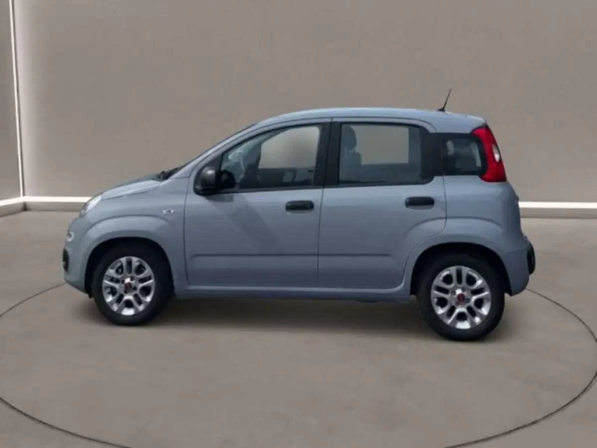 Fiat Panda usata a Caltanissetta (7)