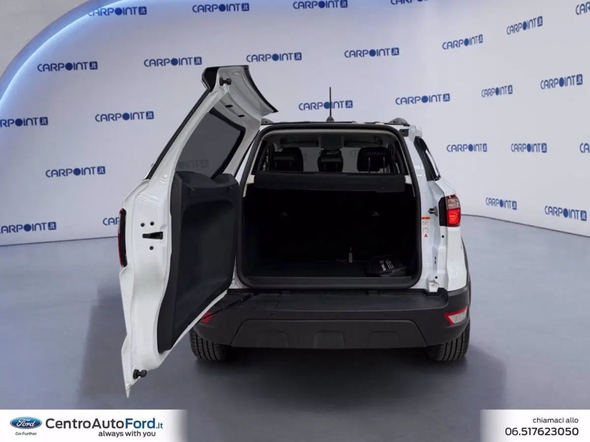 Ford EcoSport usata a Roma (17)