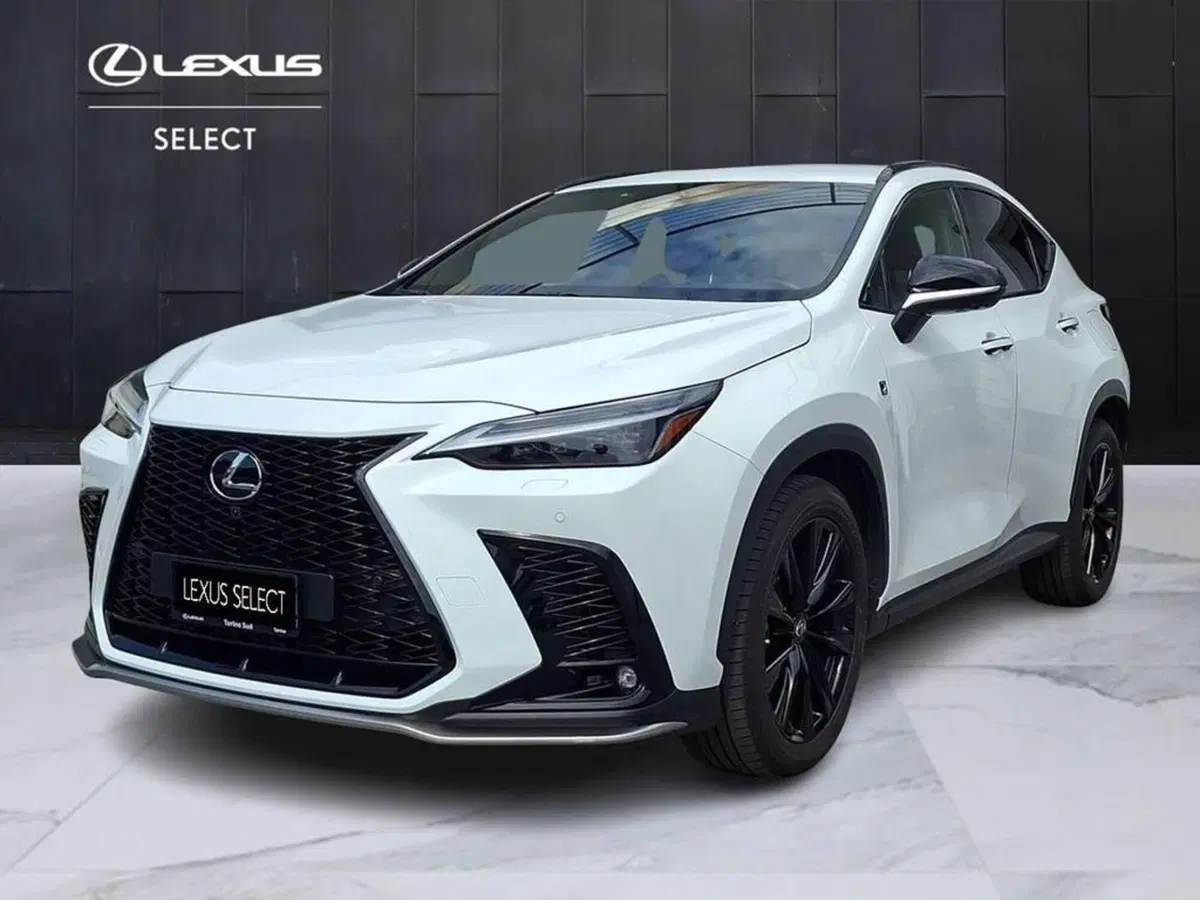 Lexus NX usata a Torino