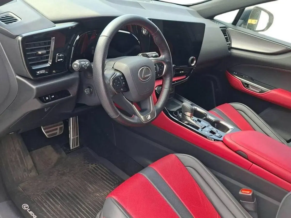 Lexus NX usata a Torino (10)
