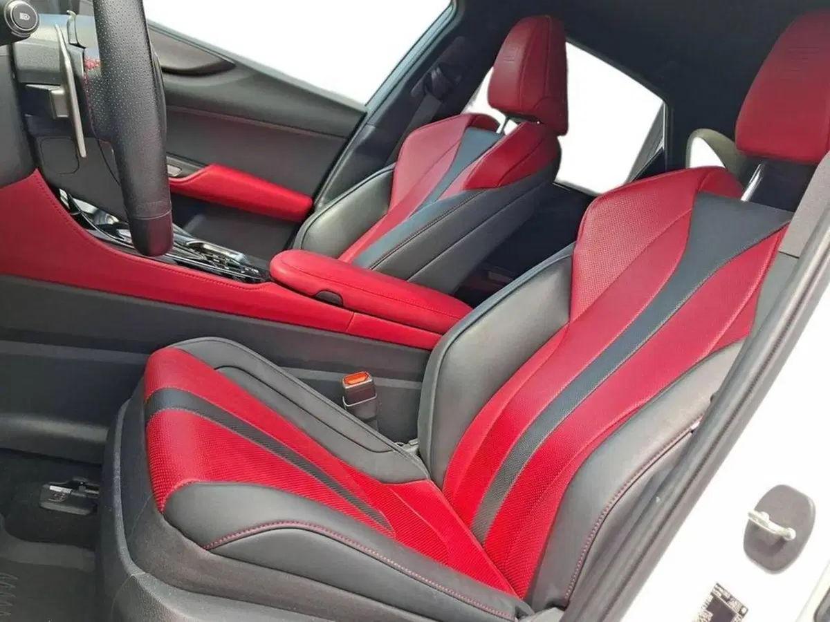 Lexus NX usata a Torino (11)