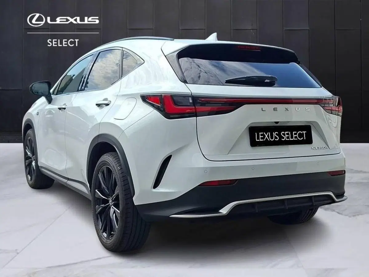 Lexus NX usata a Torino (2)