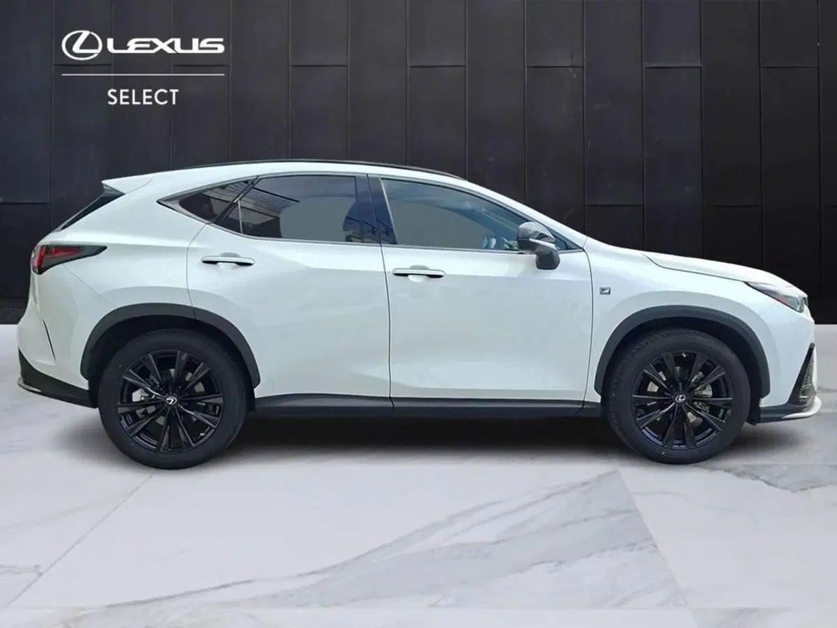 Lexus NX usata a Torino (3)