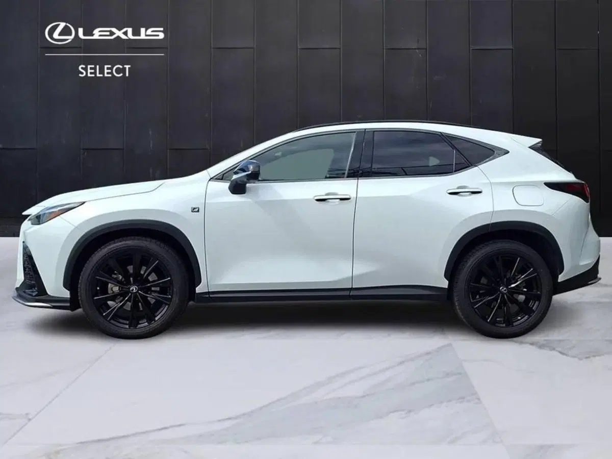 Lexus NX usata a Torino (4)