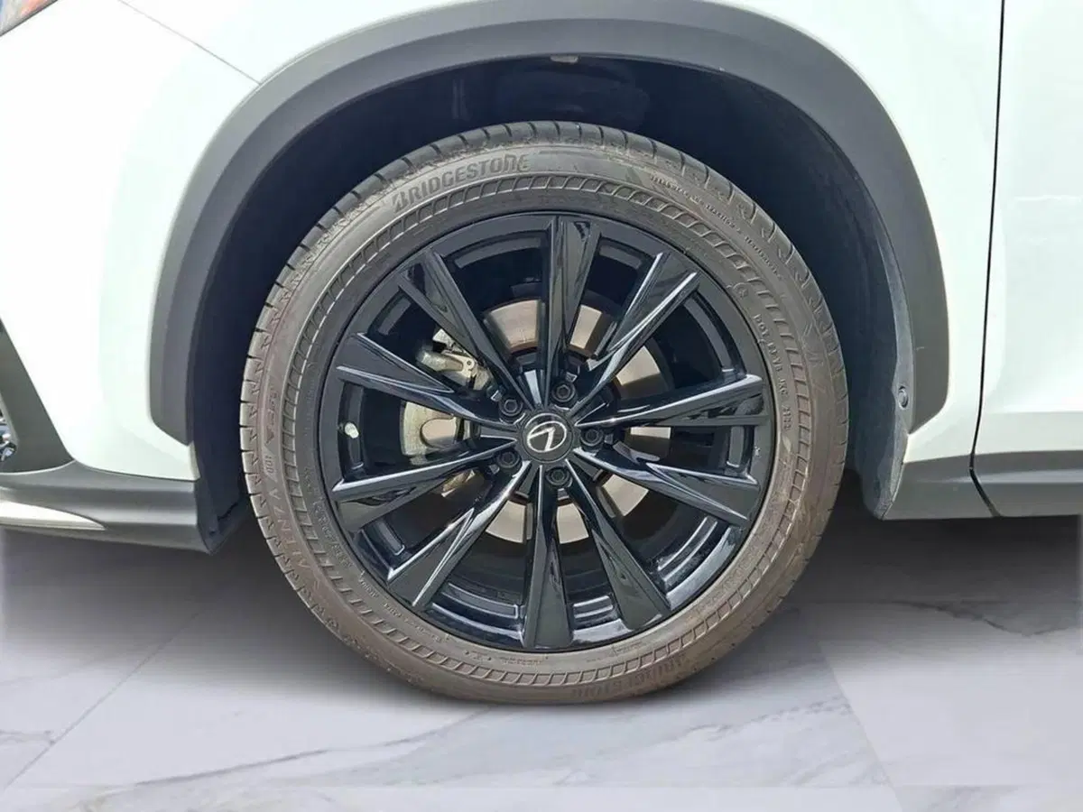 Lexus NX usata a Torino (5)