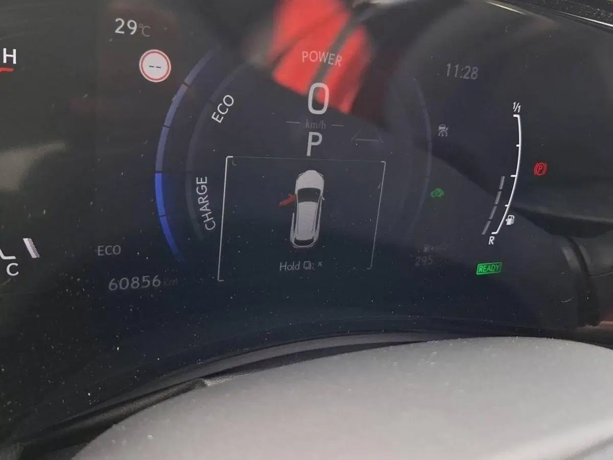 Lexus NX usata a Torino (6)
