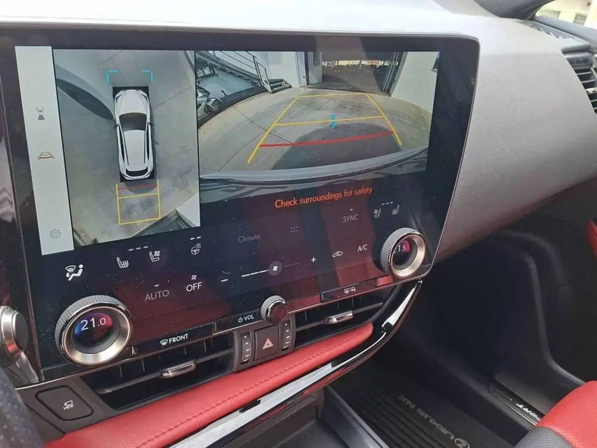 Lexus NX usata a Torino (7)