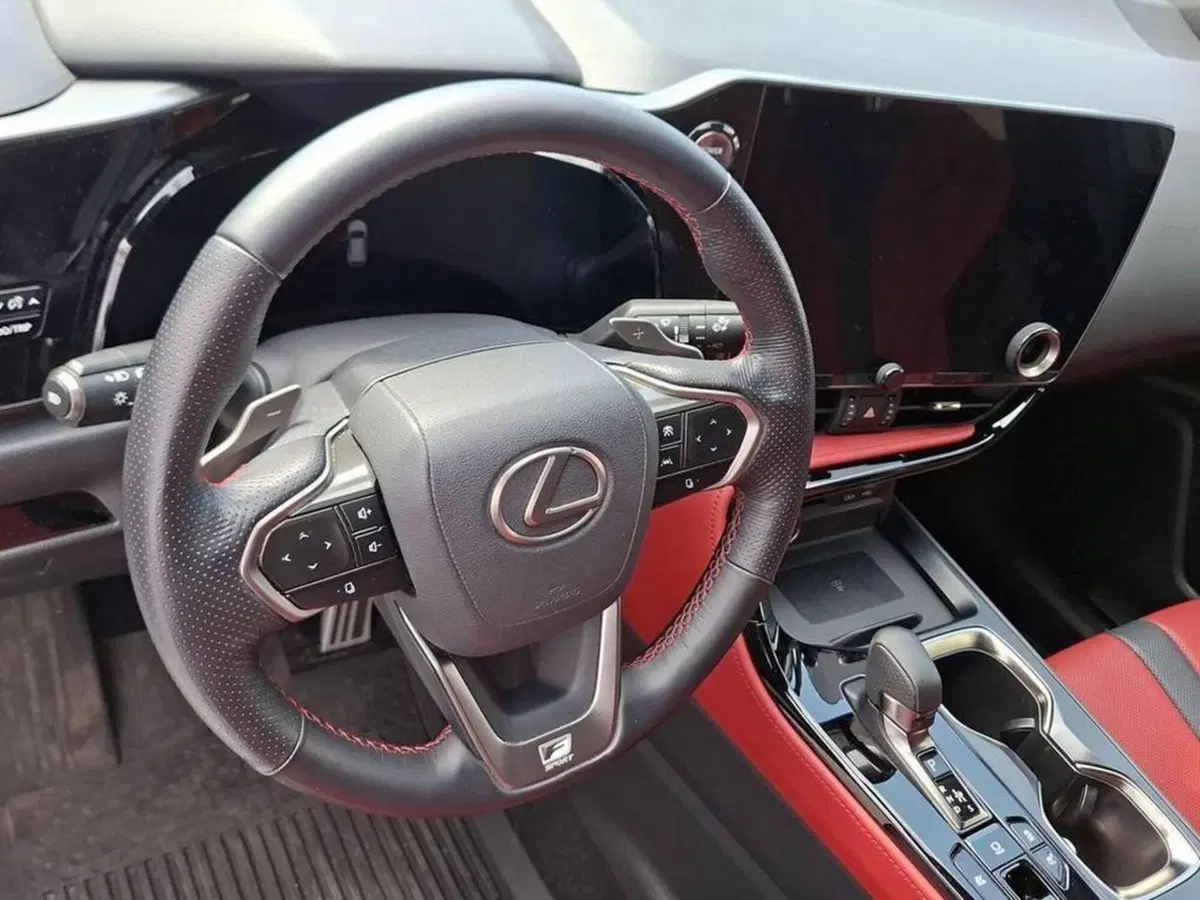 Lexus NX usata a Torino (9)