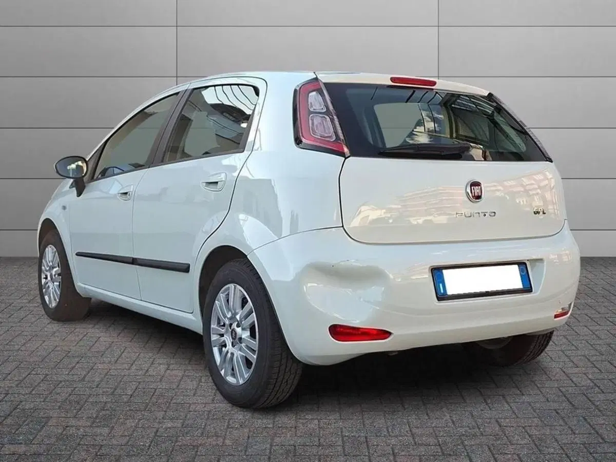 Fiat Punto usata a Torino (2)