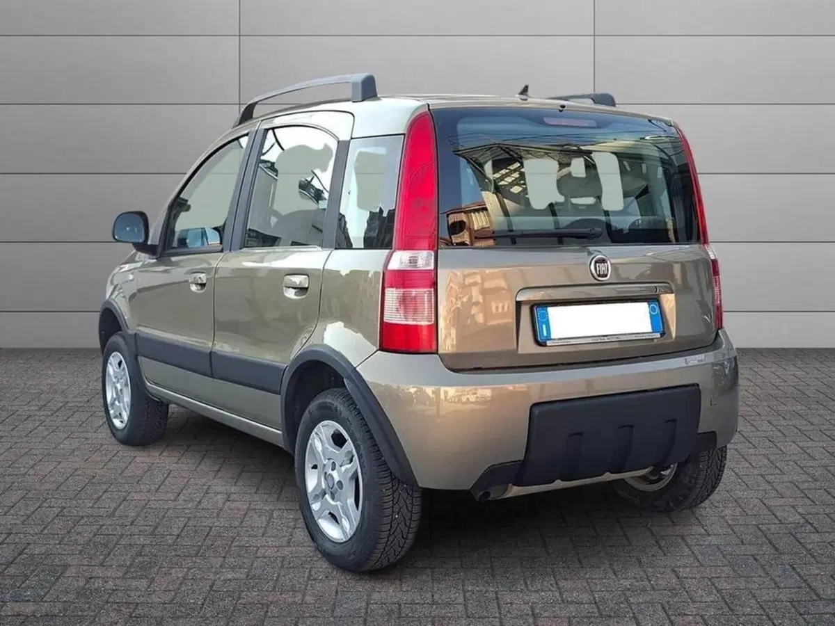 Fiat Panda usata a Torino (2)