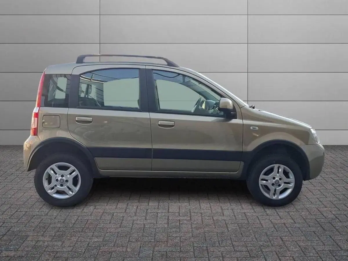 Fiat Panda usata a Torino (3)
