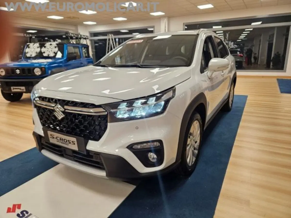 Suzuki S-Cross nuova a Campobasso (14)