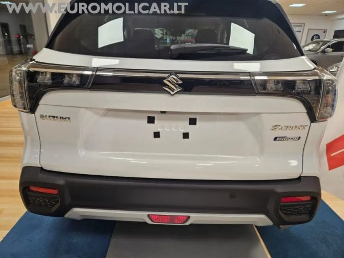 Suzuki S-Cross nuova a Campobasso (19)