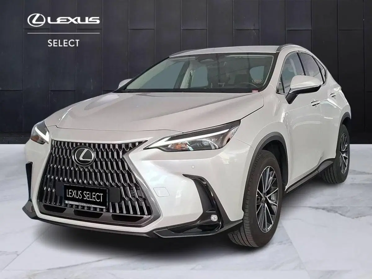 Lexus NX usata a Torino