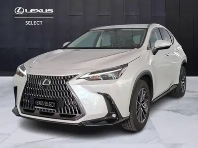 Lexus NX Hybrid 4WD Premium del 2023 usata a Torino
