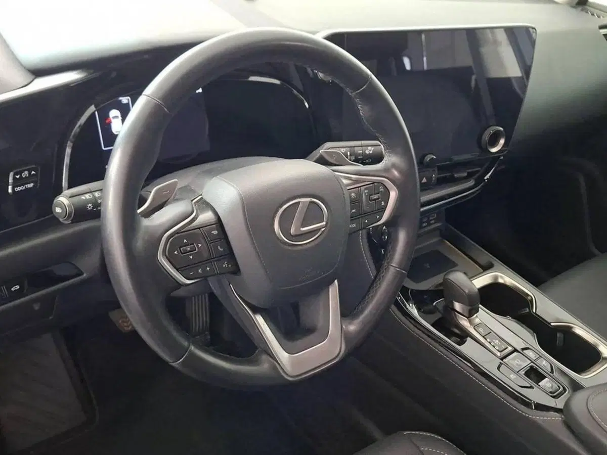 Lexus NX usata a Torino (10)