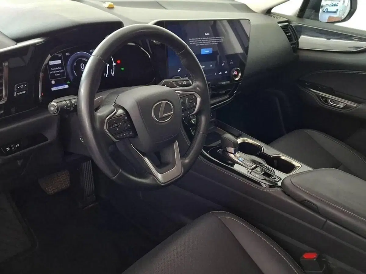 Lexus NX usata a Torino (11)