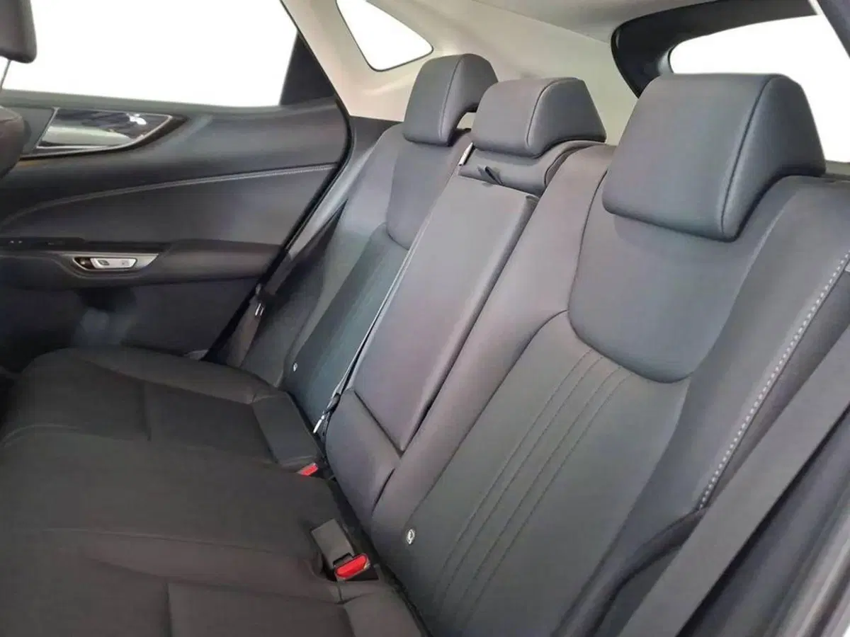 Lexus NX usata a Torino (12)