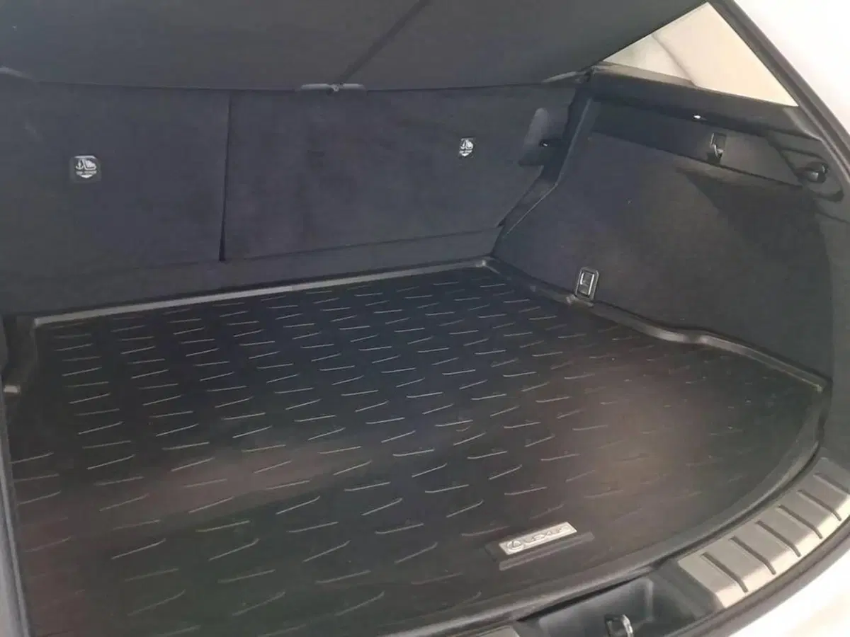 Lexus NX usata a Torino (13)