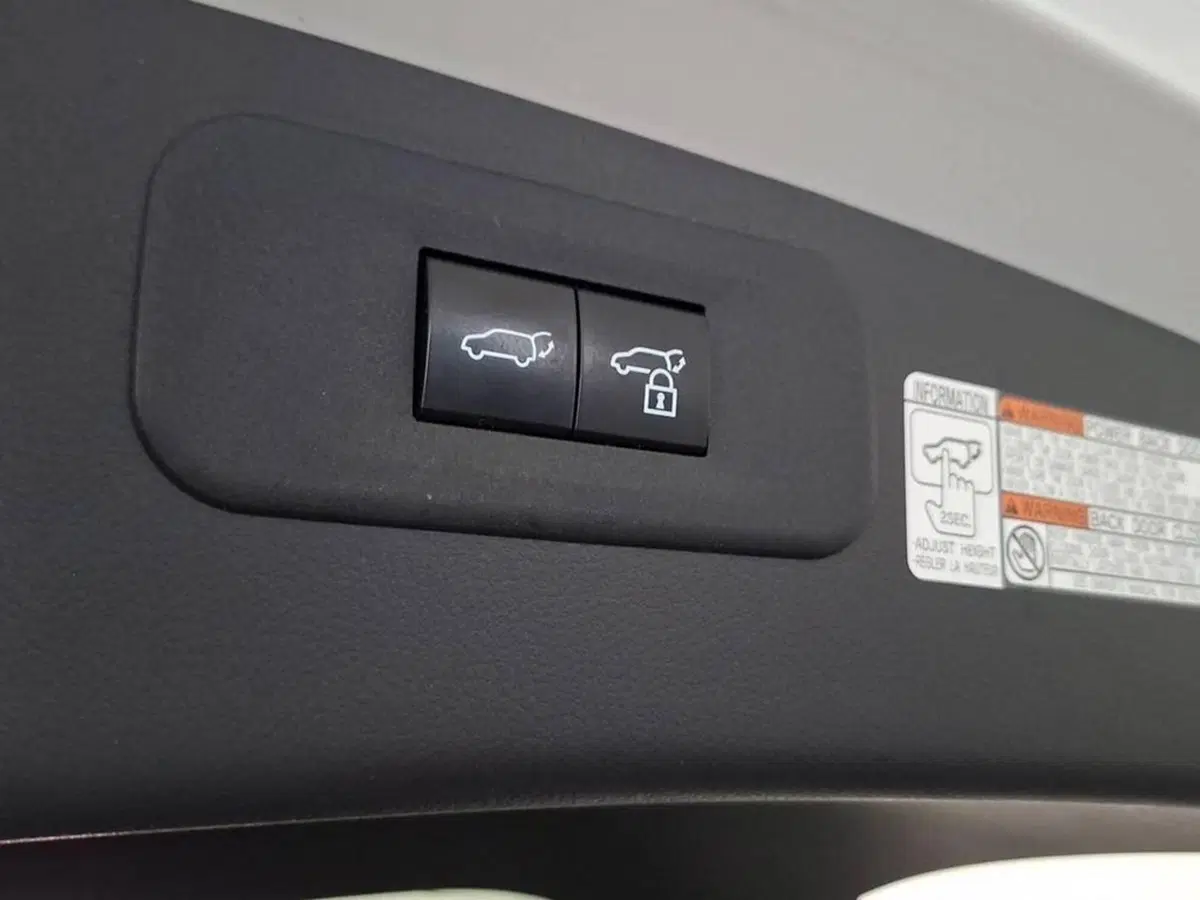 Lexus NX usata a Torino (14)