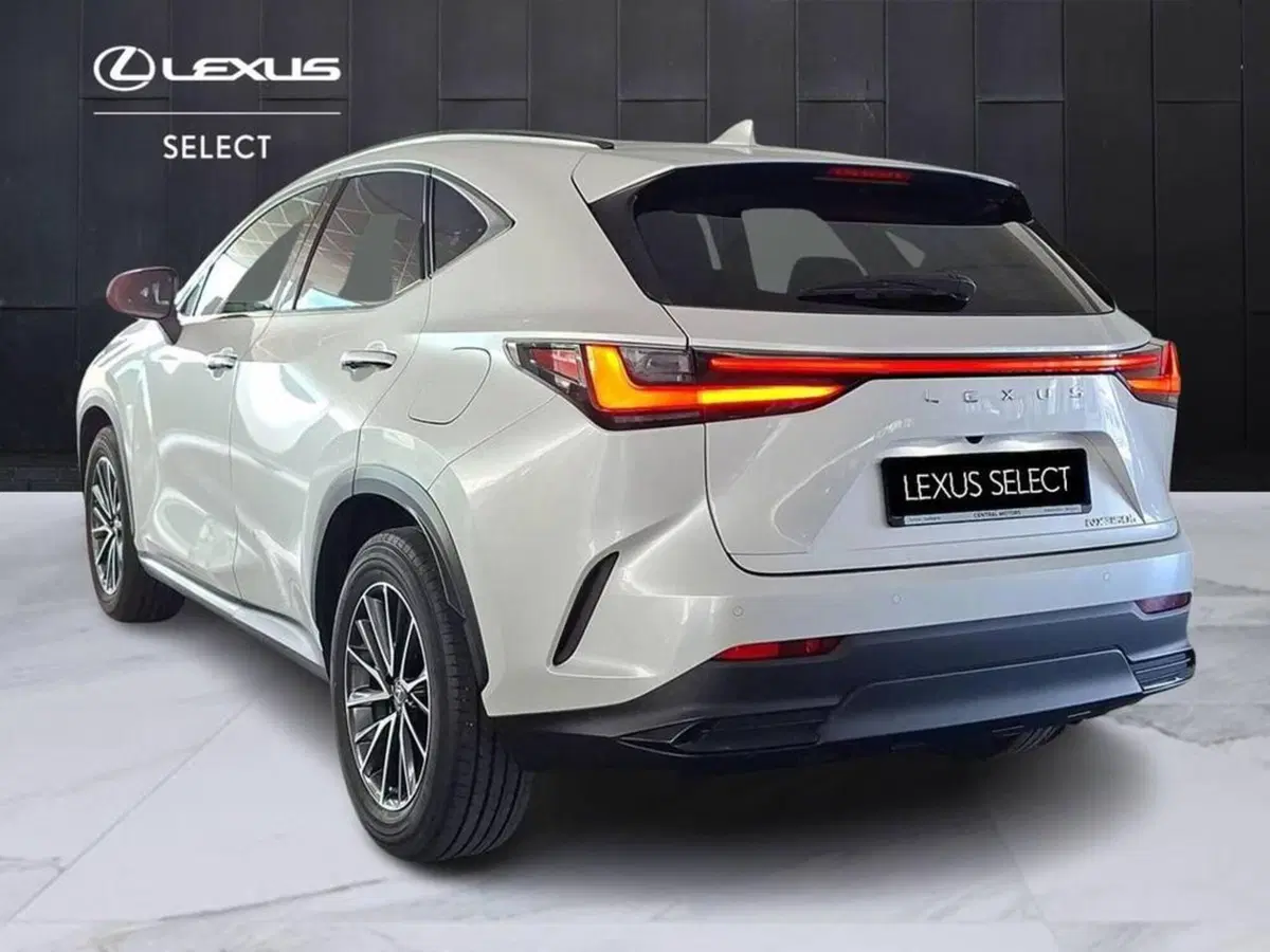 Lexus NX usata a Torino (2)