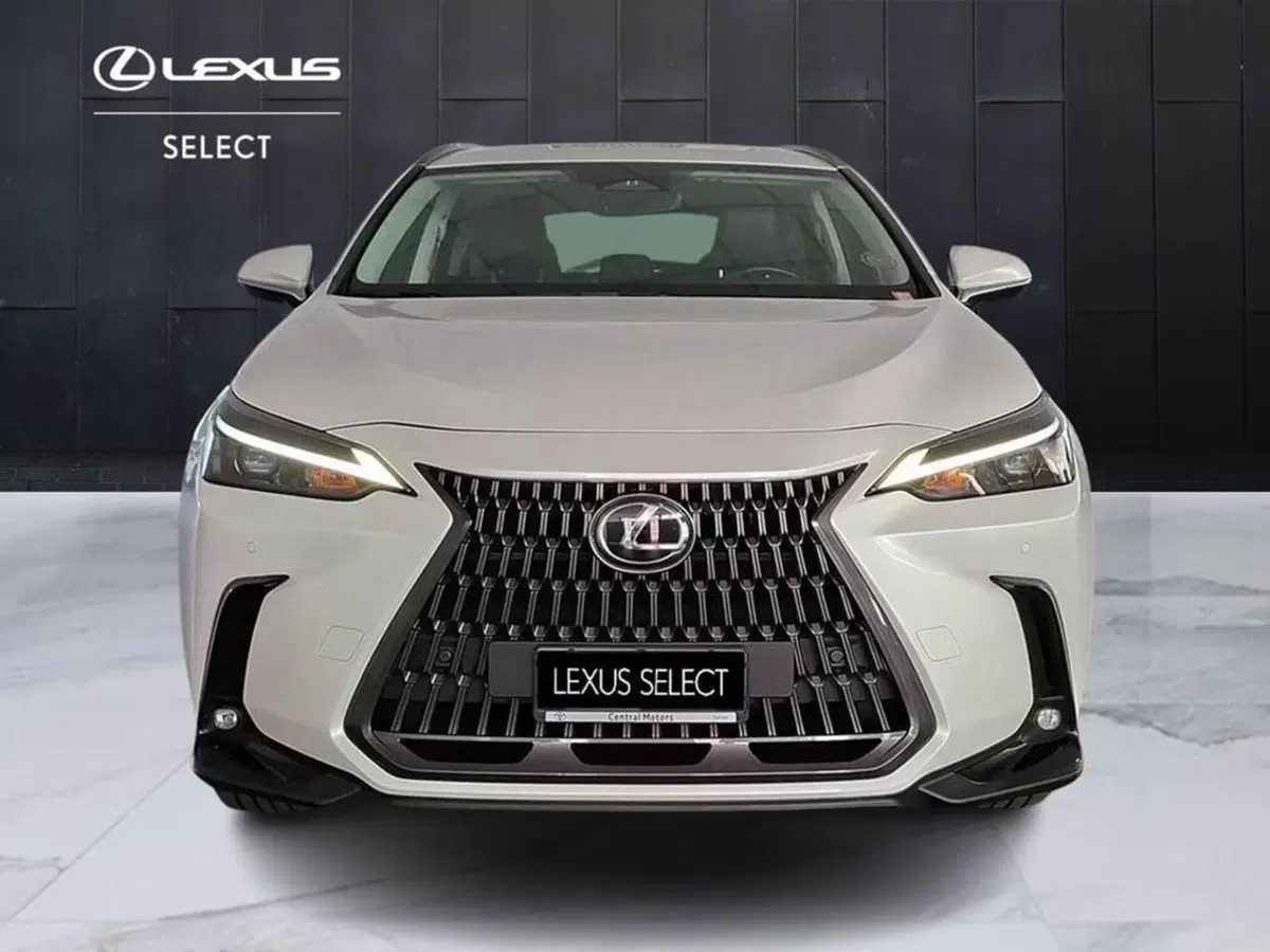 Lexus NX usata a Torino (3)