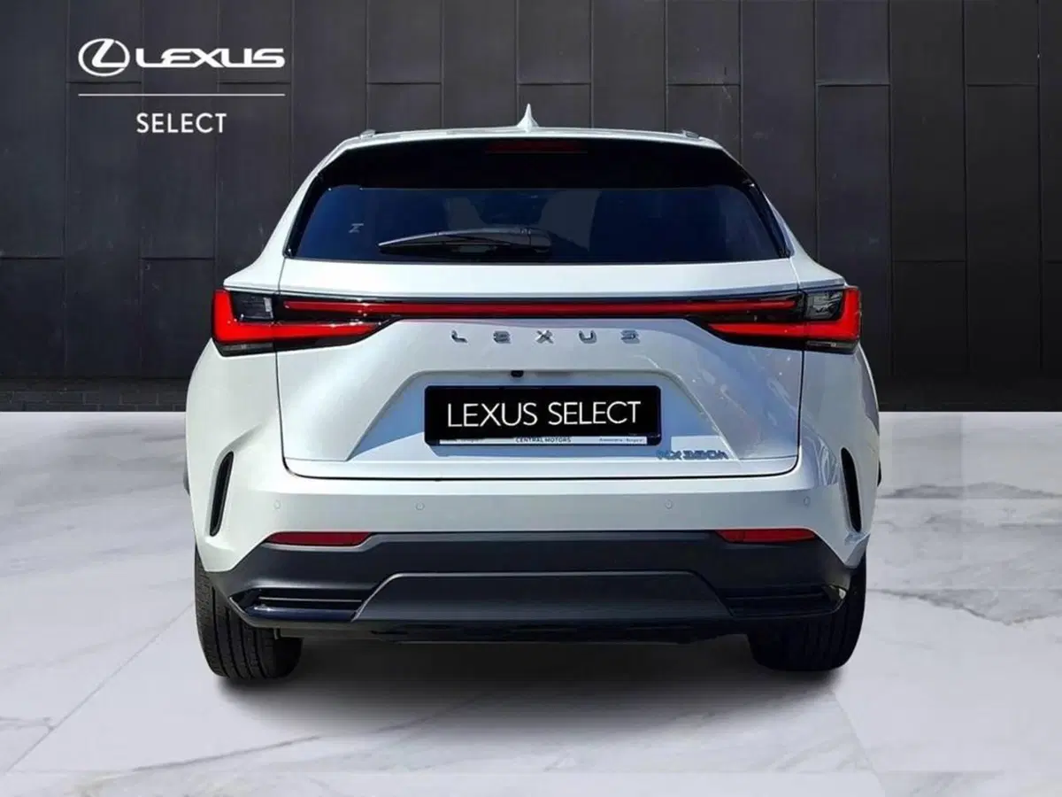 Lexus NX usata a Torino (4)
