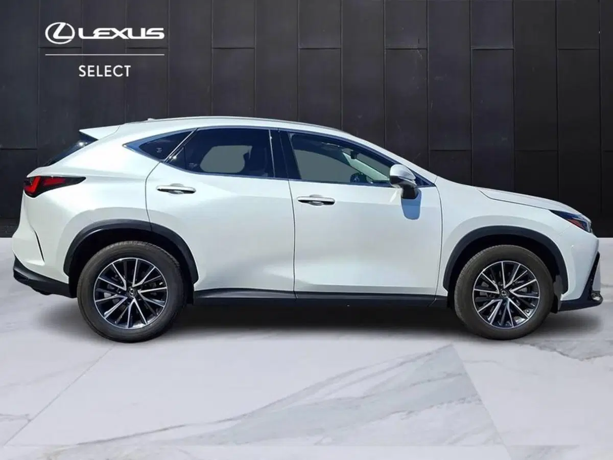Lexus NX usata a Torino (5)