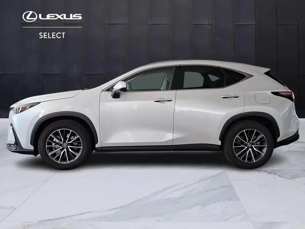 Lexus NX usata a Torino (6)