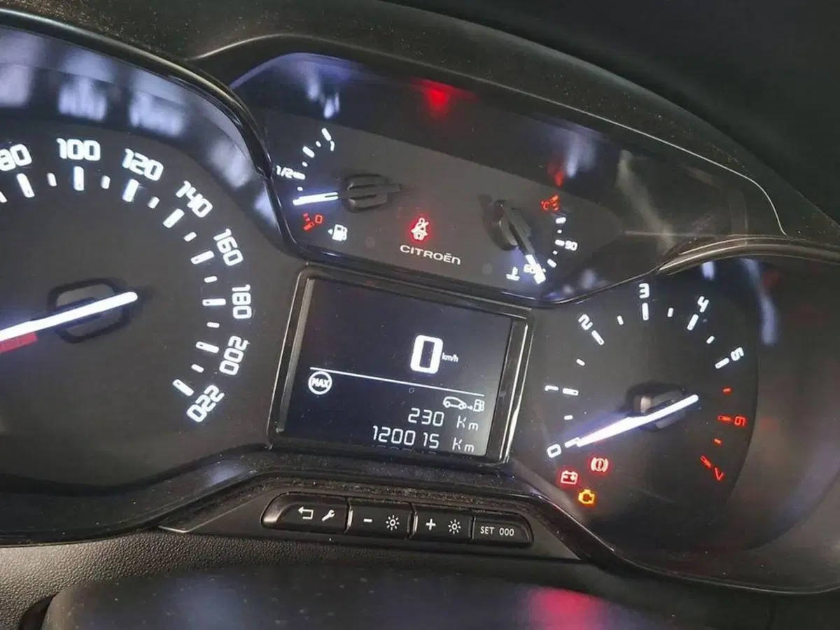 Citroen C3 usata a Torino (6)