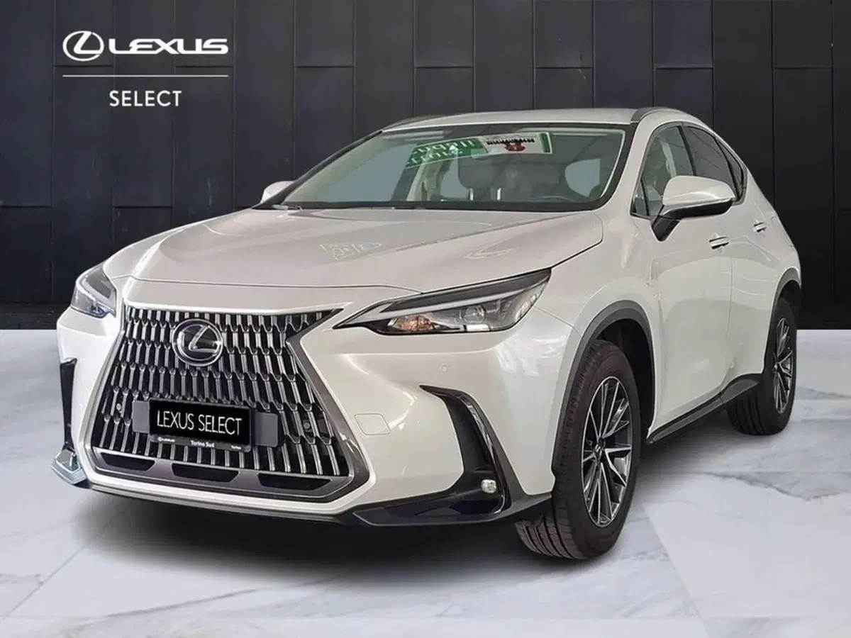 Lexus NX usata a Torino