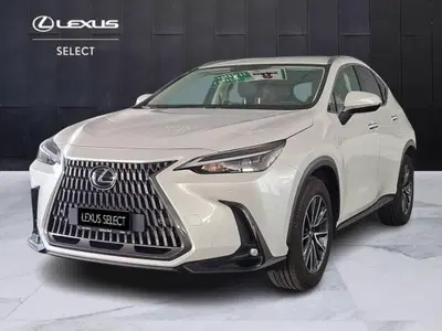 Lexus NX Hybrid 4WD Premium del 2022 usata a Torino