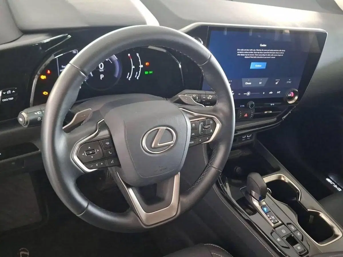 Lexus NX usata a Torino (10)