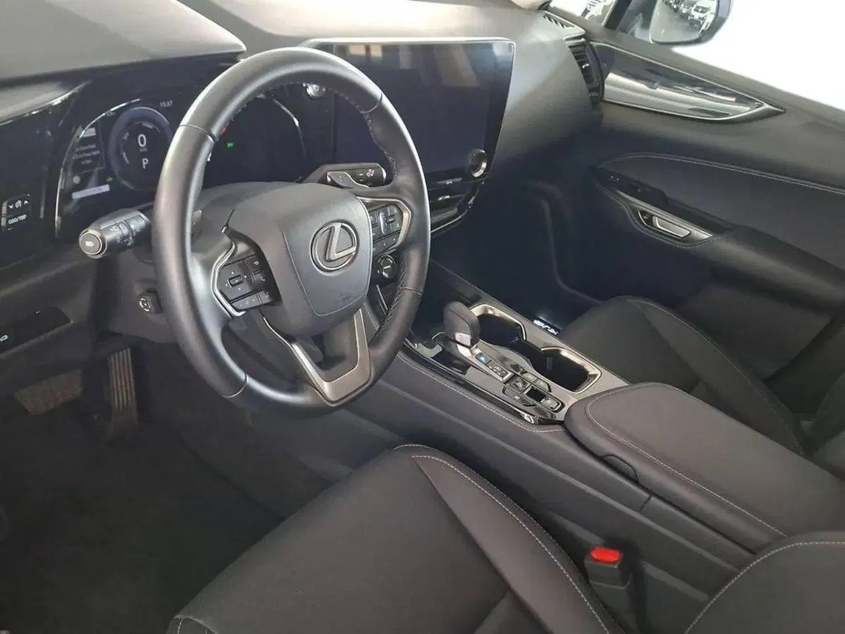 Lexus NX usata a Torino (11)