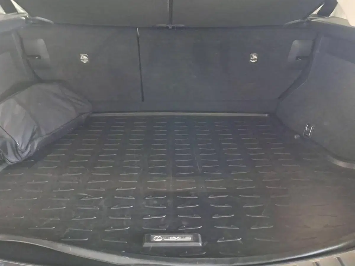 Lexus NX usata a Torino (14)