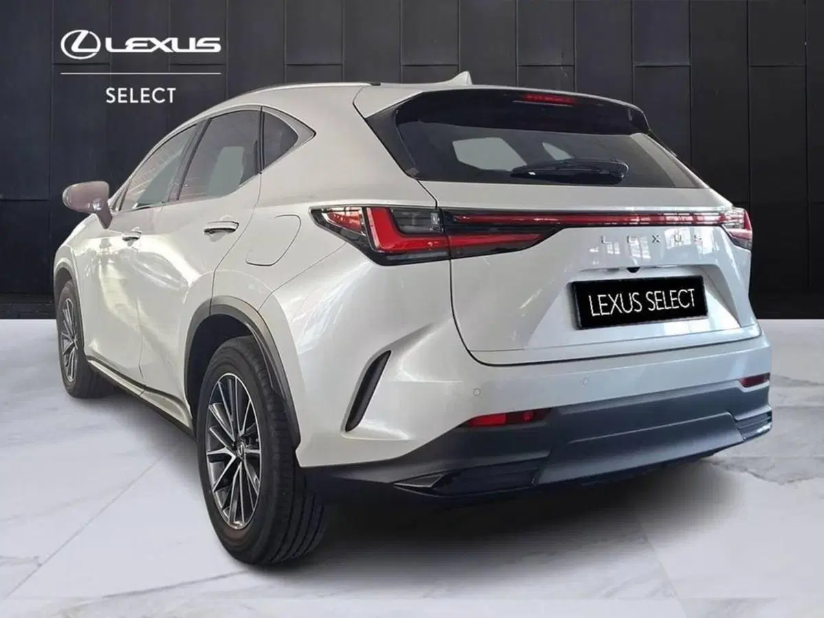 Lexus NX usata a Torino (3)