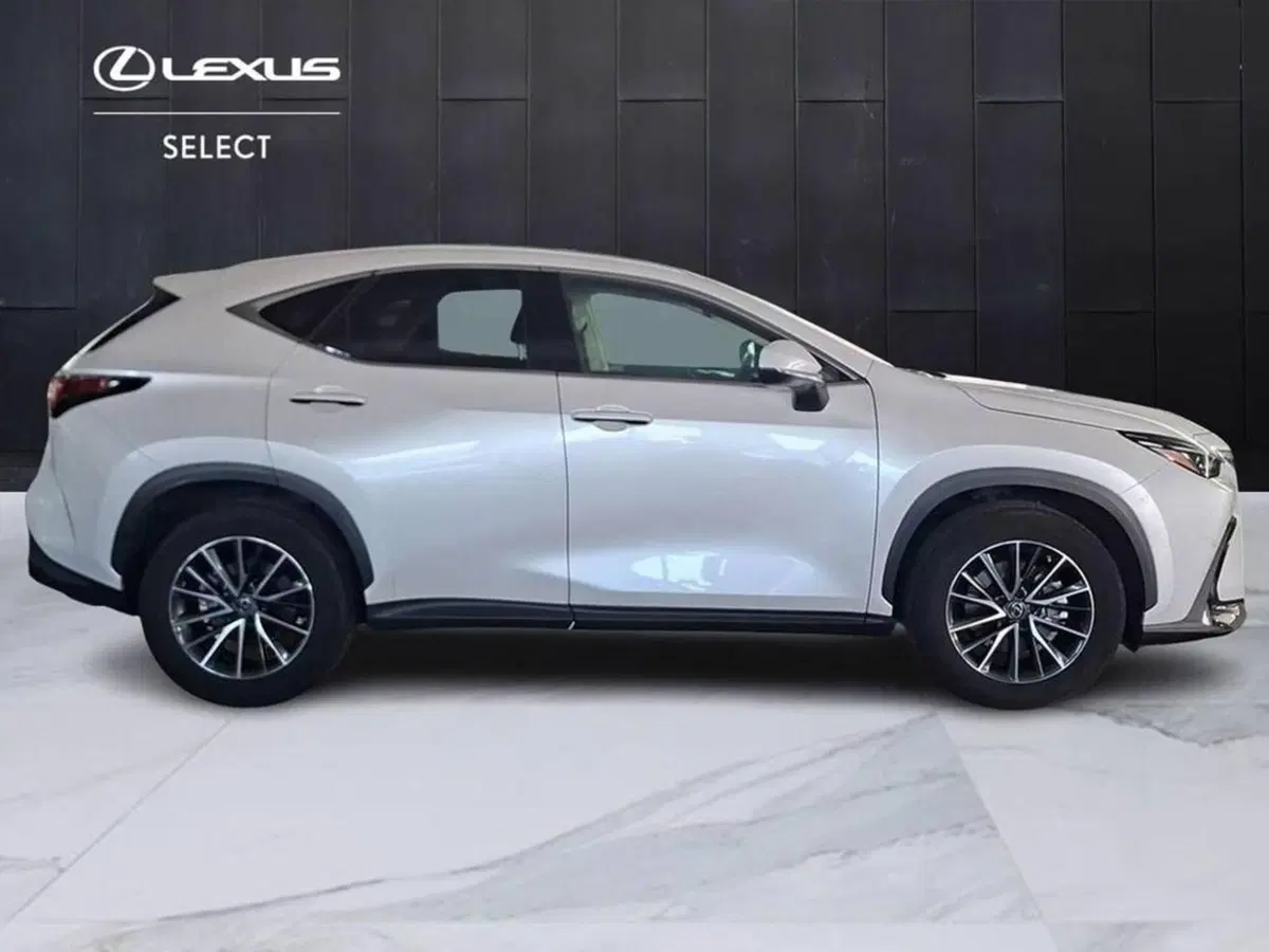 Lexus NX usata a Torino (4)