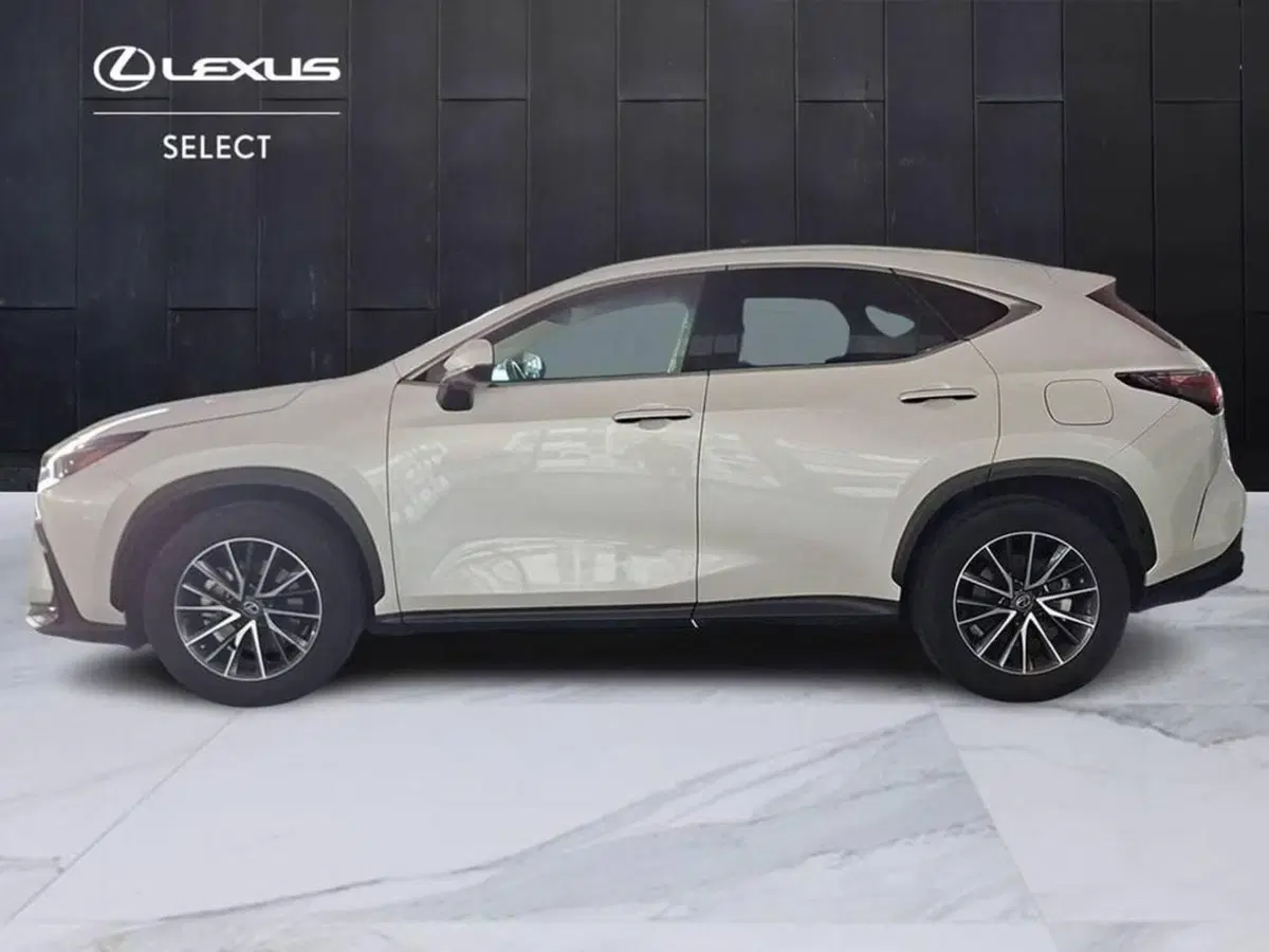 Lexus NX usata a Torino (5)