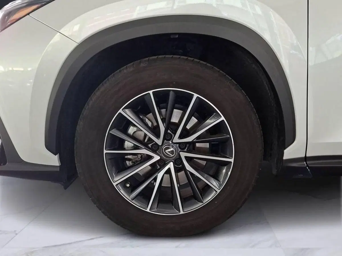 Lexus NX usata a Torino (6)