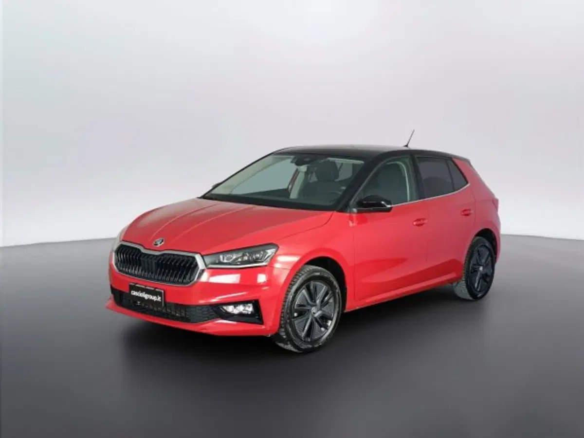 Skoda Fabia usata a Teramo