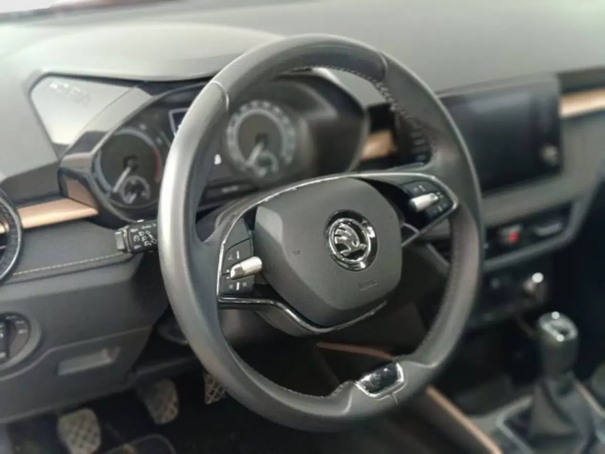 Skoda Fabia usata a Teramo (17)