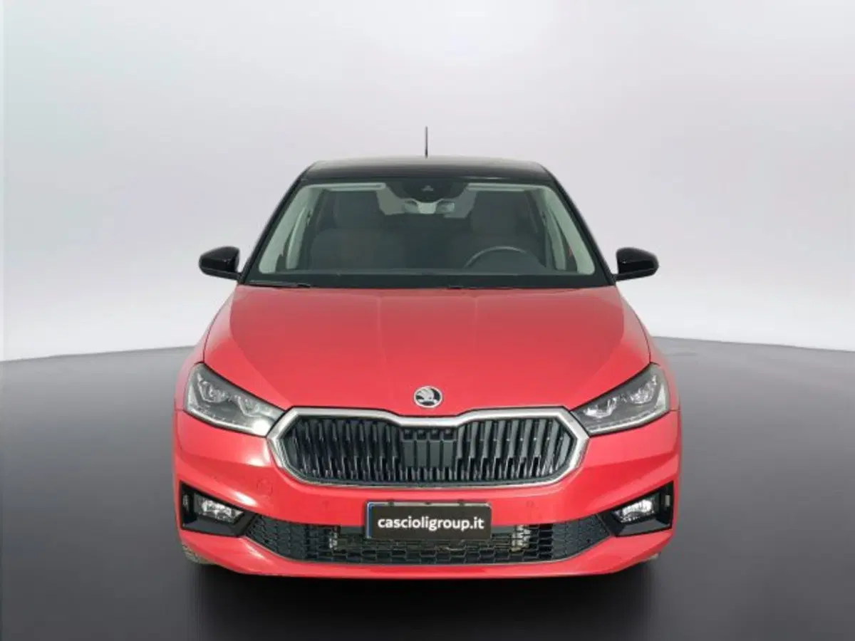 Skoda Fabia usata a Teramo (2)