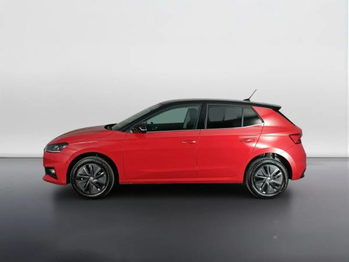 Skoda Fabia usata a Teramo (3)