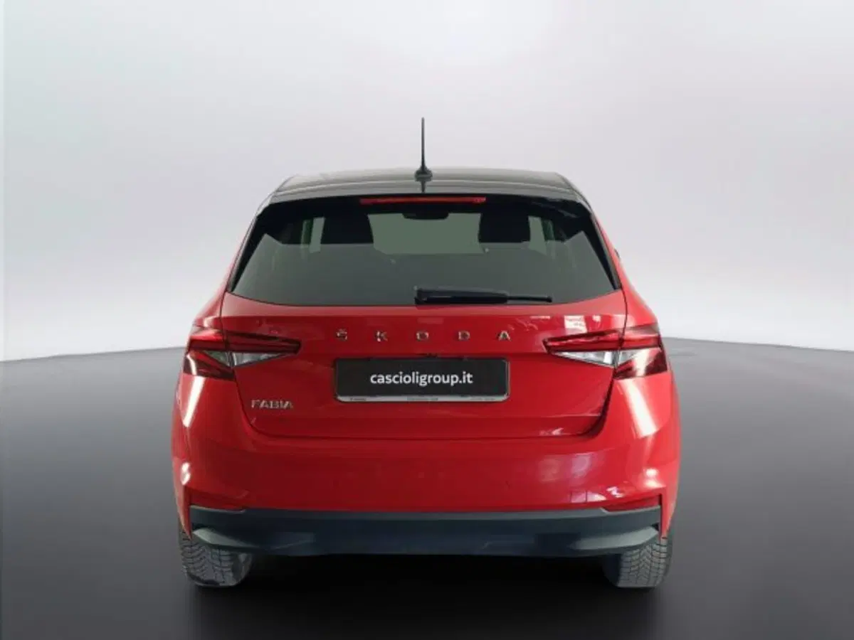 Skoda Fabia usata a Teramo (4)
